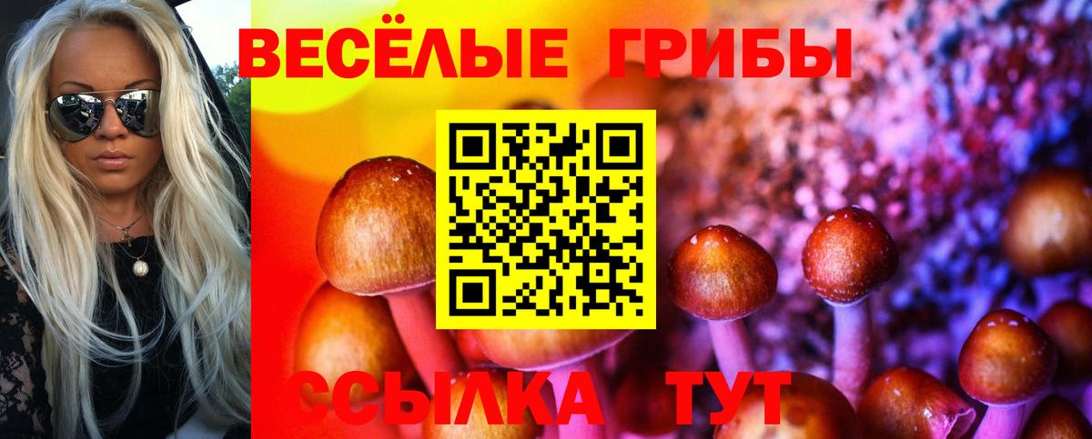 Псилоцибиновые грибы Psilocybe  Вход с VPN  Киржач 