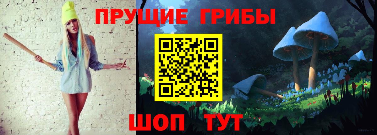Псилоцибиновые грибы Psilocybe Киржач